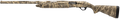 294553210.png