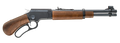 294553961.png
