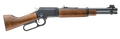 294554021.png