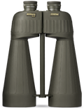 294555602.png