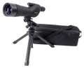 294556534.png