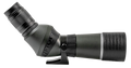 294556541.png