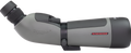 294556555.png