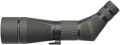 294556561.png