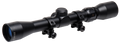 294585565.png