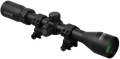 294585900.png